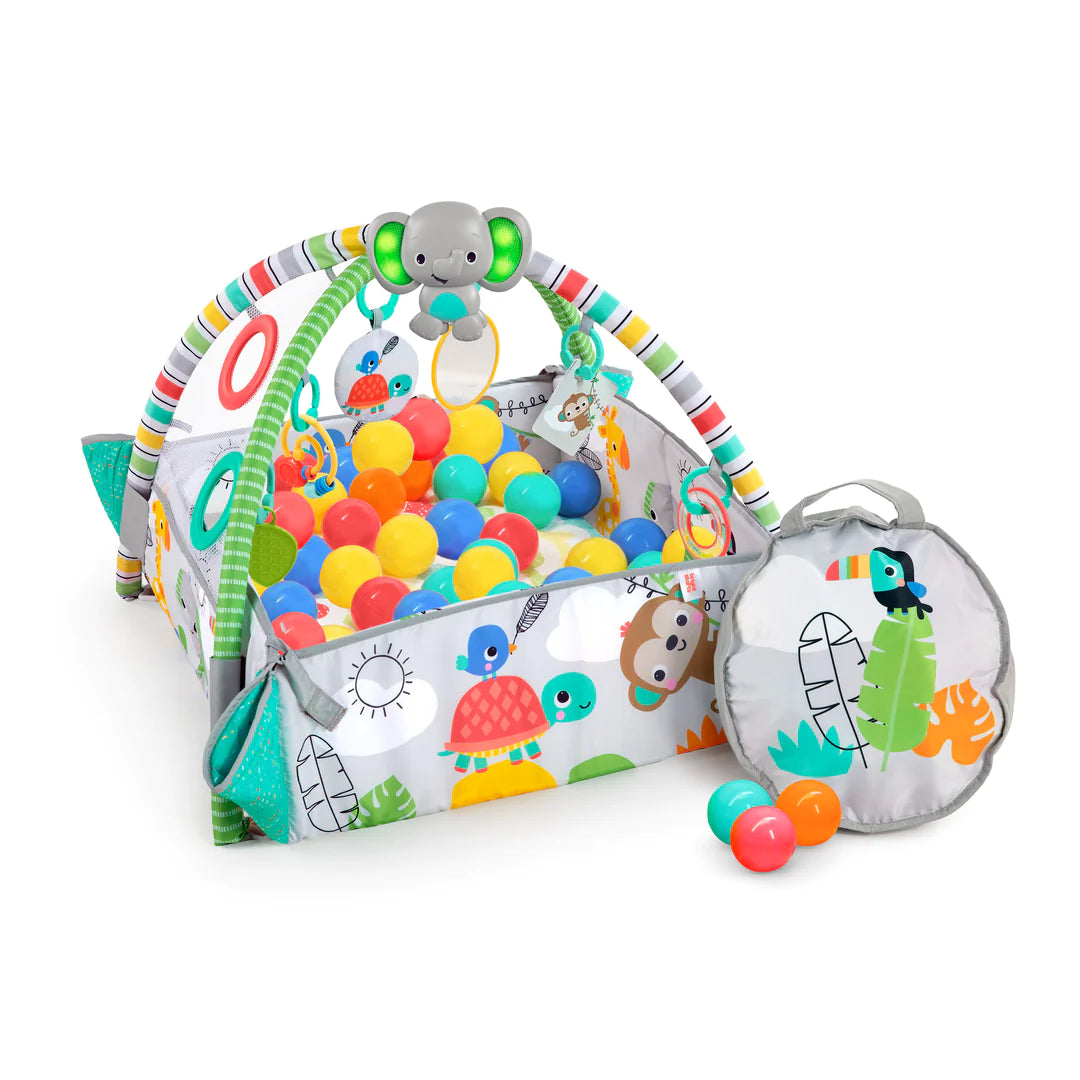 11_e229a7db-0424-4647-9e6d-90027e50bb4f.webp