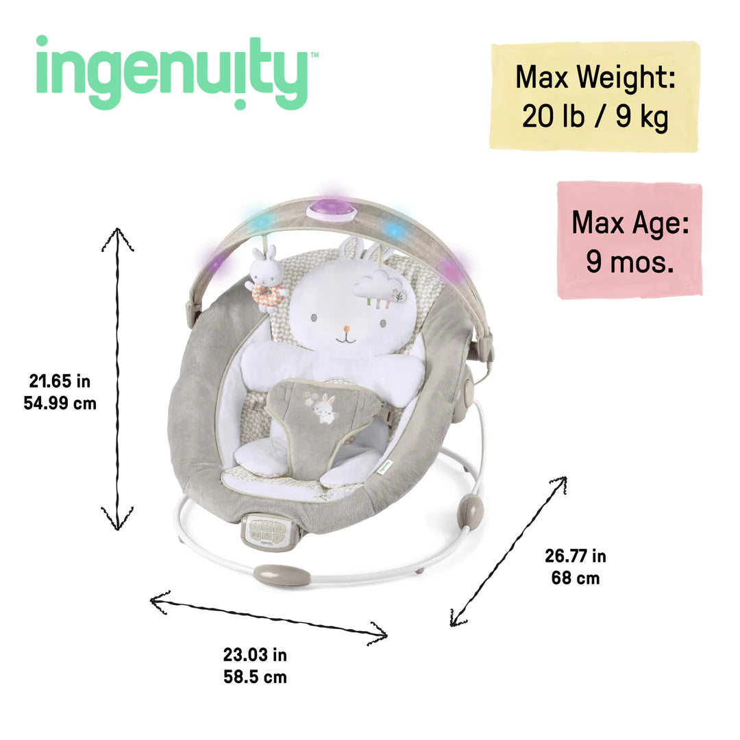 Ingenuity baby bouncer instructions on sale