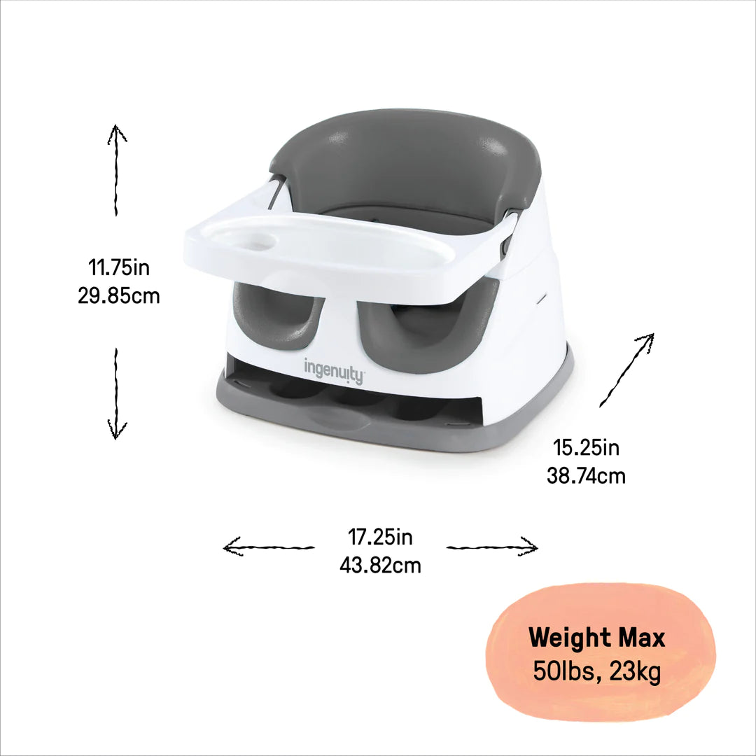 Ingenuity 2 in sales 1 baby seat