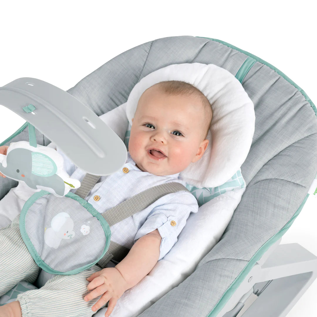 baby bouncer + rocker + seat