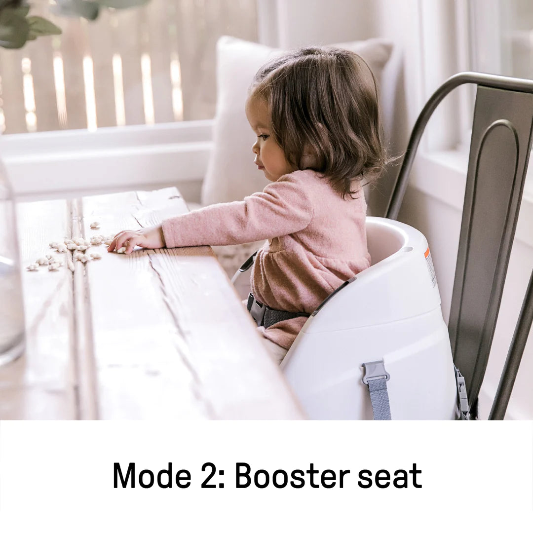 Ingenuity Baby Base 2-in-1™ Seat - Slate