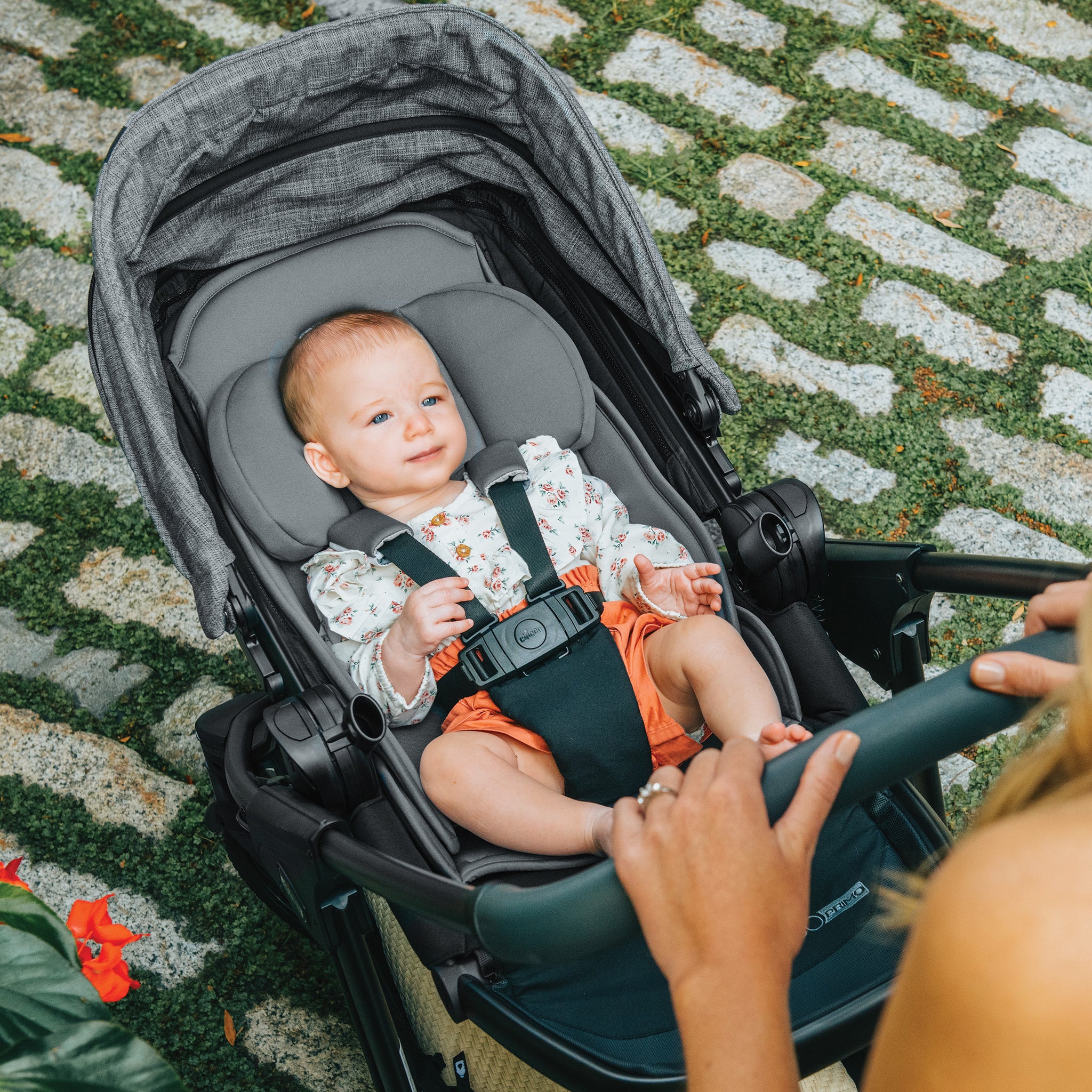 Chicco discount stroller insert