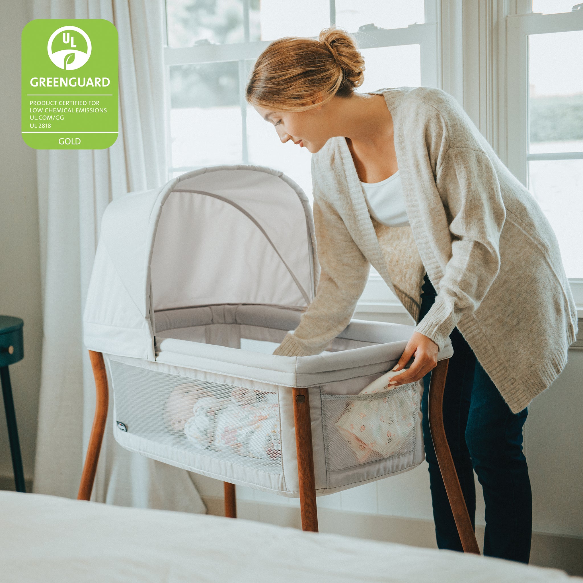 Chicco hot sale travel bassinet